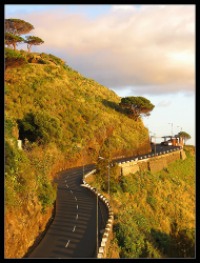Winding Road