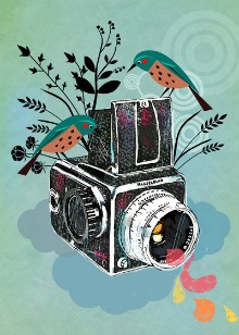 Birds taking a picture