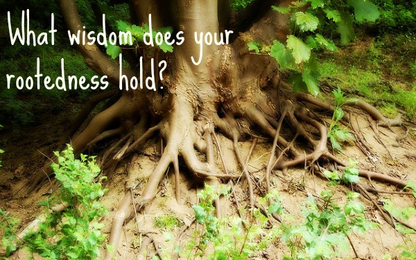 Tree roots
