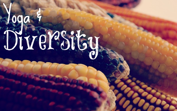Different ears of corn