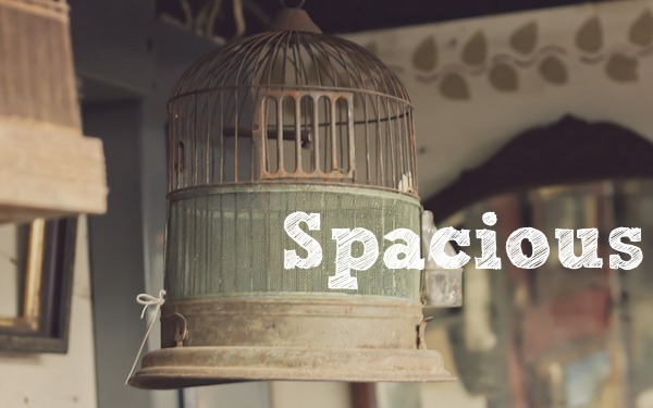 Bird cage