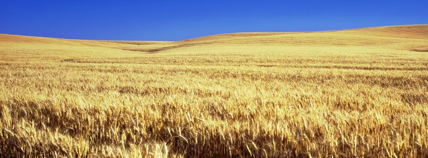 kansas