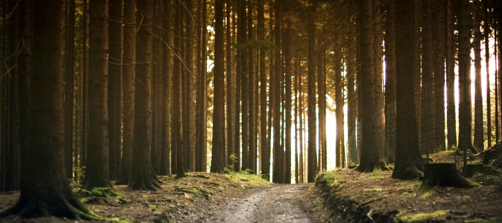 How Writing Your Future Self A Note Might Just Change Your Life (Season 3, Episode 7)